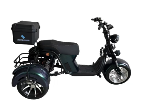 Электроскутер Skyboard MyRussia BR60 3000W