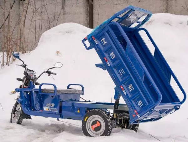 Грузовой электротрицикл TaiLG TL800