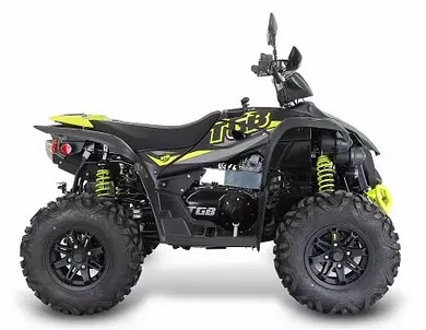Бензиновый квадроцикл Target 600 EPS