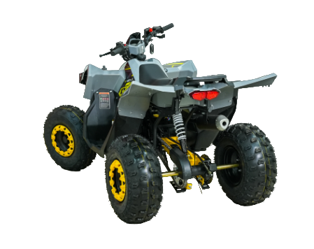 Квадроцикл бензиновый MOTAX GRIZLIK RAPTOR D125 желтый