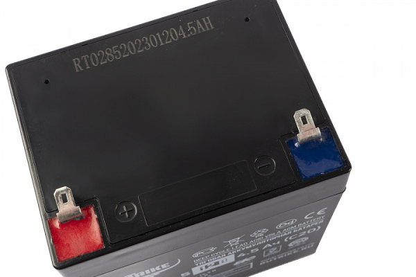 Аккумуляторная батарея RuTrike 6-GFM-4,5 (12V4,5A/H C20)