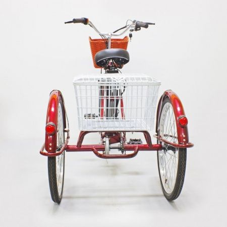Электровелосипед GreenCamel Трайк-24 (R24 500W 48V 15Ah) красный
