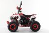 Подростковый квадроцикл Motax Mikro 110 NEW Красный
