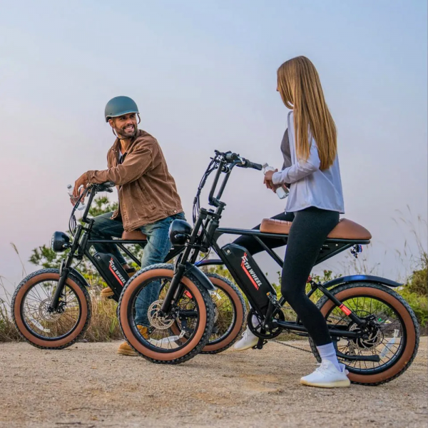 Электровелосипед WENBOX FATBIKE F15