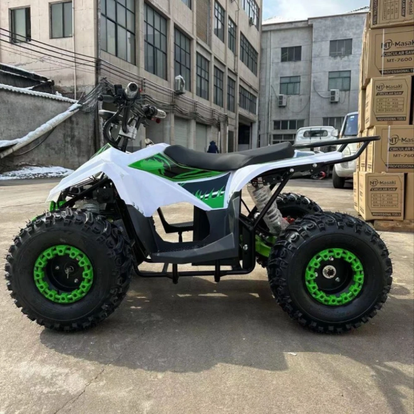 Электроквадроцикл ECO Lizard 48V32AH