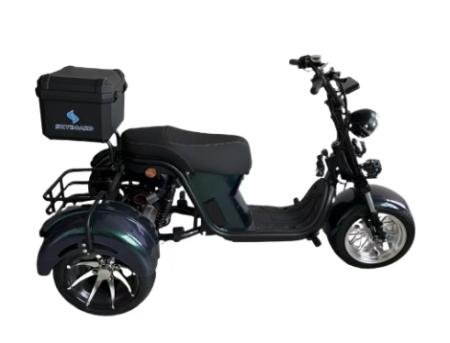 Электроскутер Skyboard MyRussia BR60 3000W