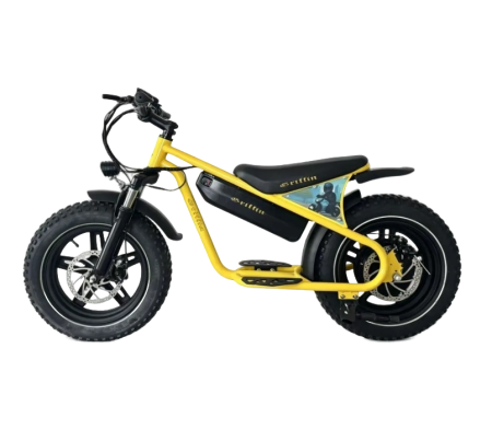 Электровелосипед Griffin J3