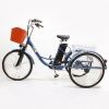Электровелосипед GreenCamel Трайк-24 (R24 500W 48V 15Ah) синий