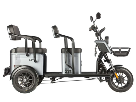 Электротрицикл Wanshida UM+ 60V 1000Вт серый