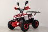 Подростковый квадроцикл Motax Mikro 110 NEW Красный