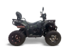 Бензиновый квадроцикл MOTAX GRIZLIK W200 LUX зеленый