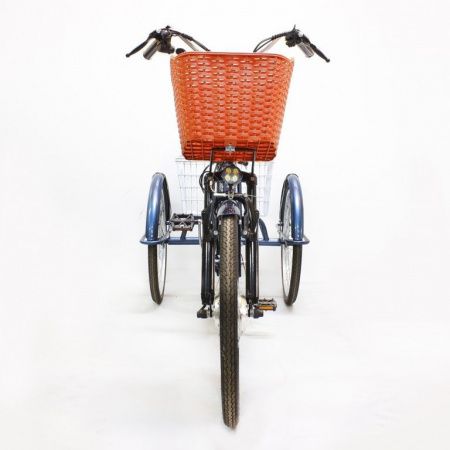 Электровелосипед GreenCamel Трайк-24 (R24 500W 48V 15Ah) синий