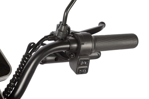 Электротрицикл Rutrike Gelbert Sun 48V/60V 650Вт фиолетово-белый