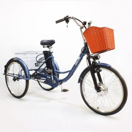 Электровелосипед GreenCamel Трайк-24 (R24 500W 48V 15Ah) синий