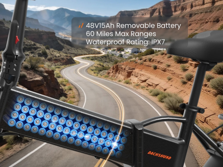 Электровелосипед PUCKIPUPPI DACHSHUND черный