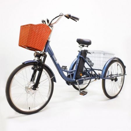 Электровелосипед GreenCamel Трайк-24 (R24 500W 48V 15Ah) синий