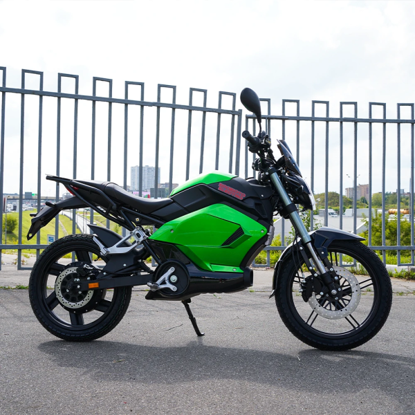 Электромотоцикл ECO RAY RTM E21