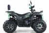 Бензиновый квадроцикл MOTAX GRIZLIK U200 LUX зеленый
