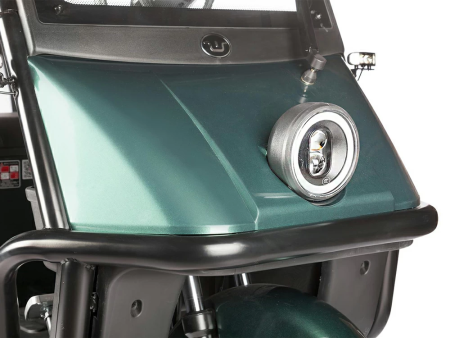 Электротрицикл Wanshida NIPLA 500 60V 1000Вт зеленый